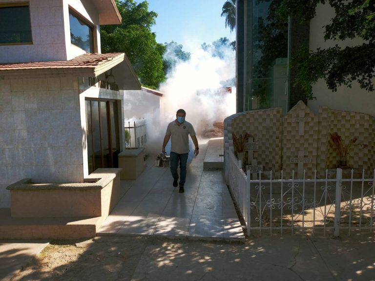 Confirma Salud brotes de dengue en 4 municipios