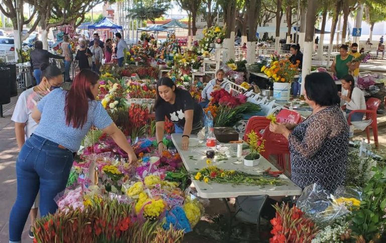 Solicitan floristas de Navolato regular entrada de ‘golondrinos’