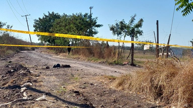 Hallan huesos humanos dentro de una bolsa al sur de Culiacán