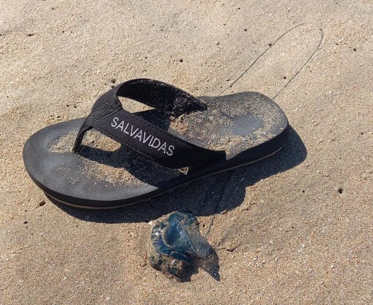 Alerta por presencia de quemadores