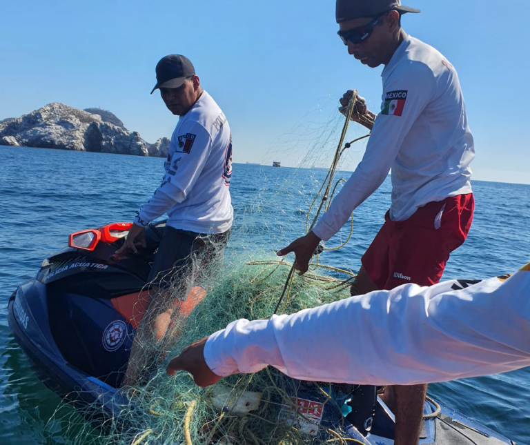 Reportan redes de pesca junto a hábitat de lobos marinos