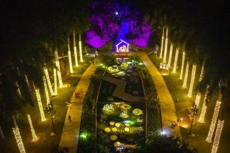 Inauguran luces de Navidad en el Botánico