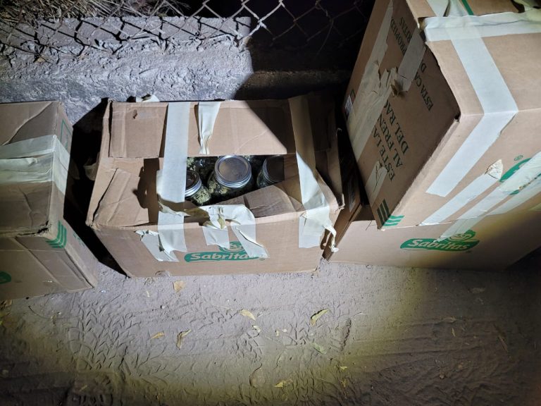 Decomisan frascos con mariguana en baldío de Bachigualato