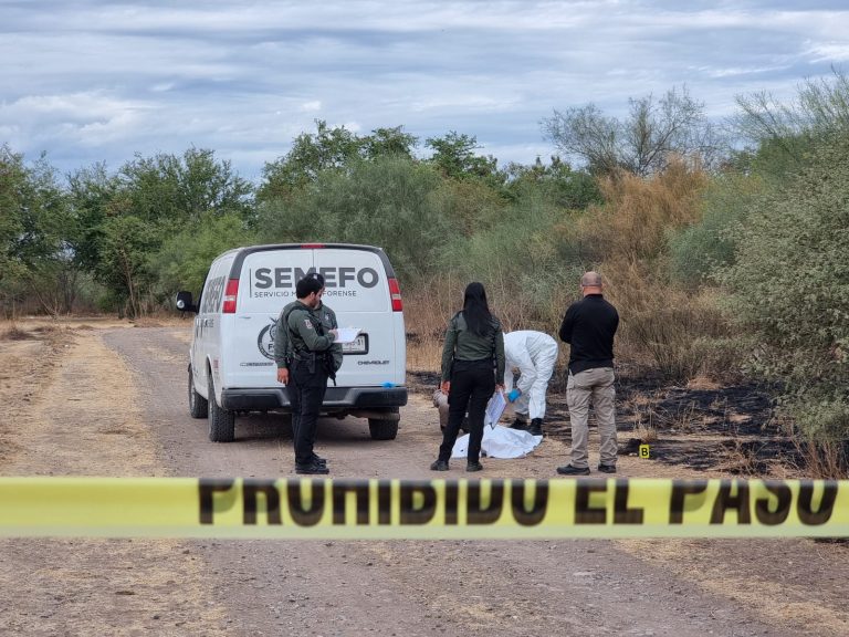 Tenía una placa de titanio en mano; es una osamenta
