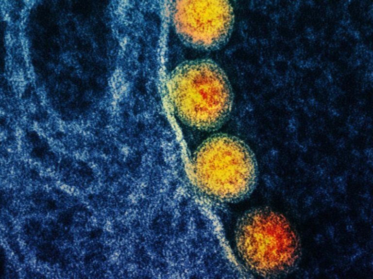 ¿Qué se sabe de la variante Covid-19 ‘pesadilla del infierno’?