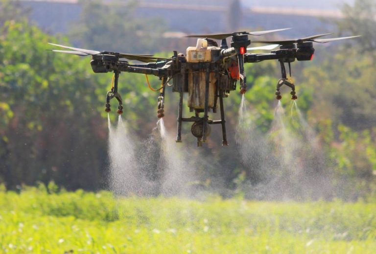 Estiman 45 mil asistentes a la Expo Agro