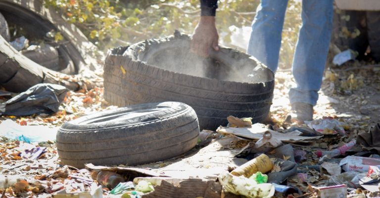 Arrancan en Navolato campaña contra nido de moscos