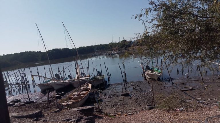 Denuncian 20 casos de dengue en ‘Las Puentes’, Navolato