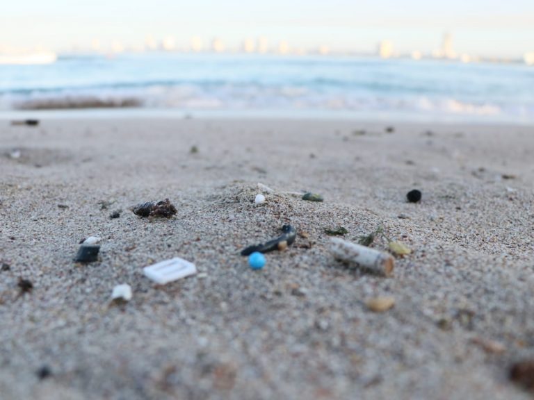 Iban por microplásticos, limpian hasta baterías de celular