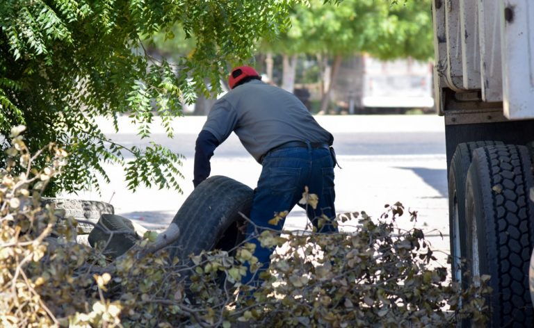 Arranca El Fuerte campaña contra el dengue