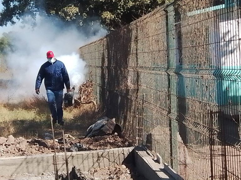 ¿Cuántos casos de dengue grave registra Sinaloa?