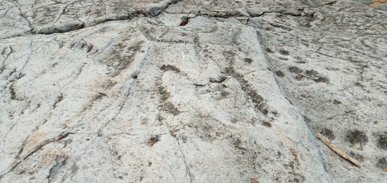 Denuncian presunto saqueo de piezas arqueológicas en Tecomate, Navolato