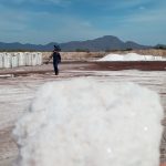Salinas Montelargo El Tigre
