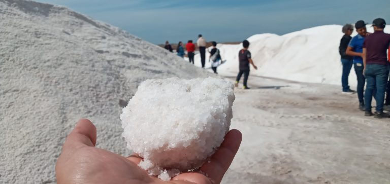 Vive la experiencia de la Ruta de la Montaña, en ‘El Tigre’, Navolato