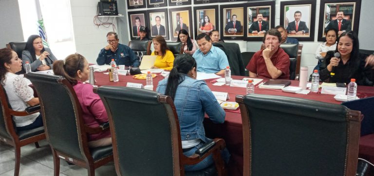 Se ‘destapa’ regidora para la presidencia de Navolato