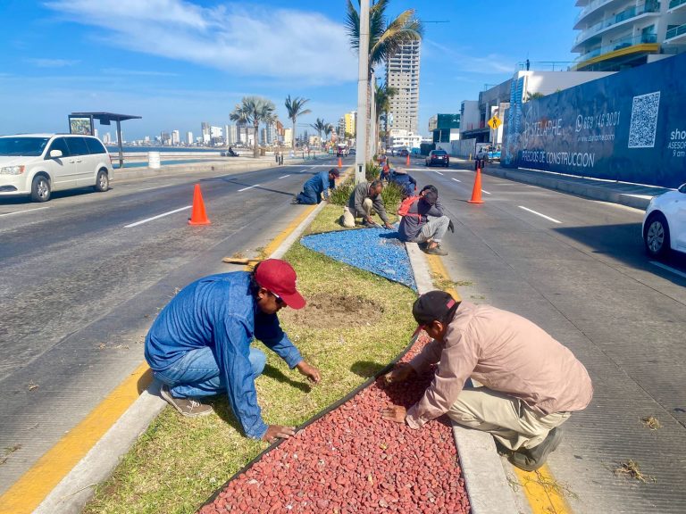 Repone Mazatlán plantas que fueron dañas en desfiles de Carnaval