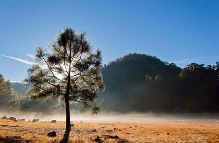 ¡Se siente frío! Cae temperatura a los 11°C en la sierra