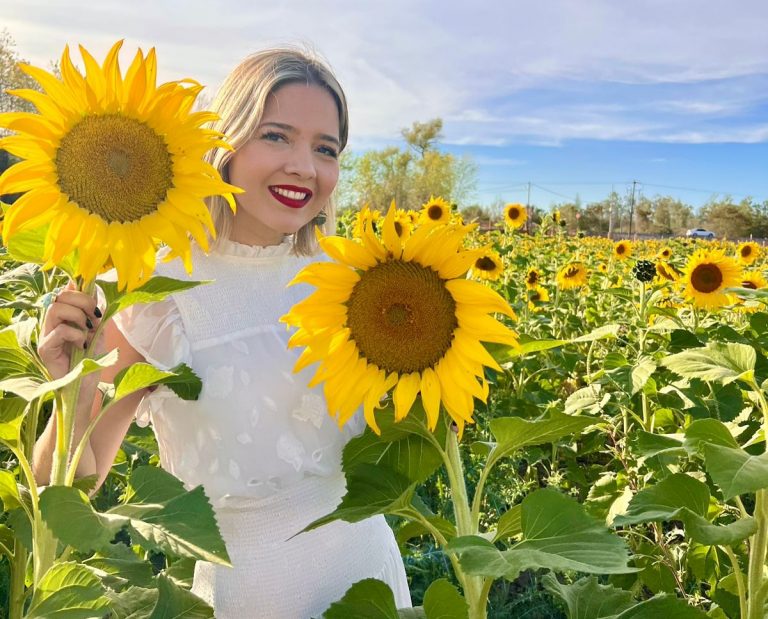 Abre Mocorito campo de girasoles y esperan 10 mil visitantes