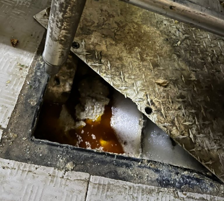 Lanza Mazatlán esculque ambiental de negocios