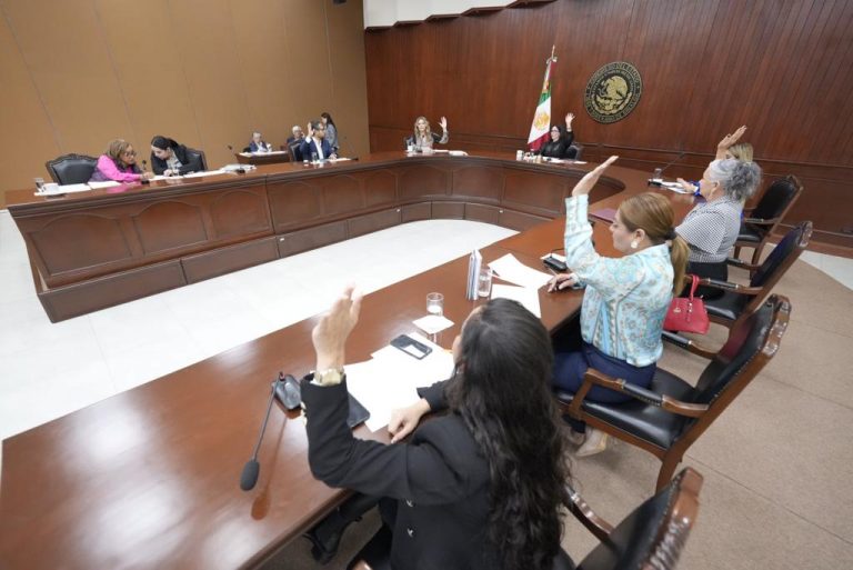 Convocan a periodo extraordinario para Medalla Norma Corona