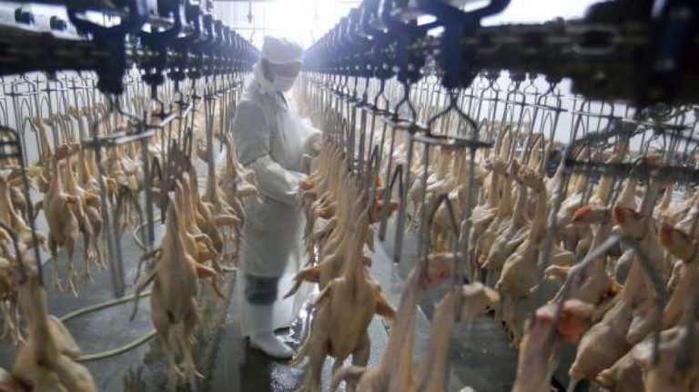 Detecta China nuevo caso de gripe aviar en humanos