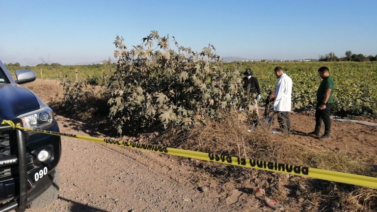 Era abogado de Navolato el localizado muerto en Bellavista