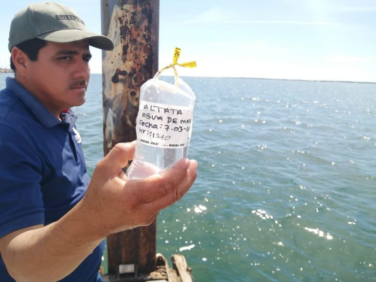 Playas de Sinaloa son aptas para bañarse