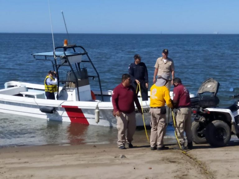 ‘Combaten’ mantarrayas en playa de El Maviri