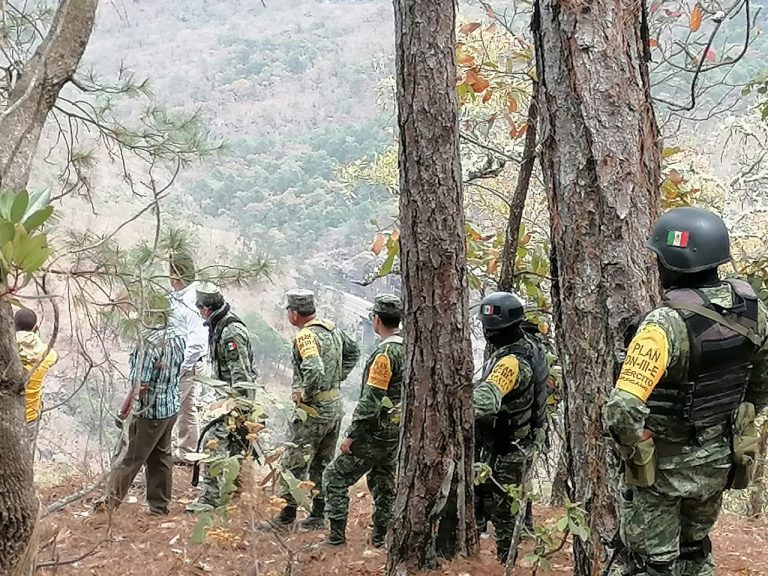 Cuentan 85 hectáreas afectadas por incendio en Concordia