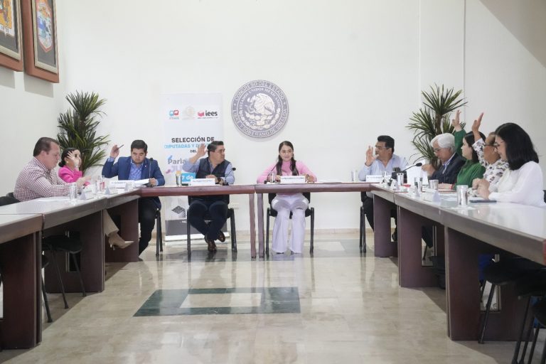 Eligen a 40 diputados infantiles