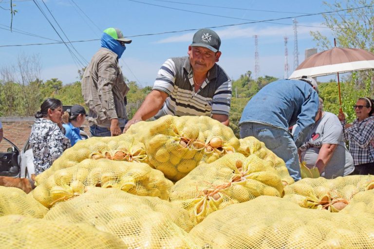 Tres toneladas de papa repartidas en El Fuerte