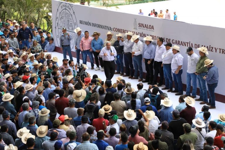 ‘En el aire’ 3.5 millones de tons de maíz