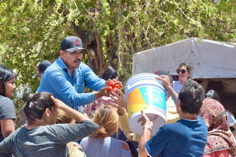 Reparte alcalde de El Fuerte verdura a zonas de pobreza