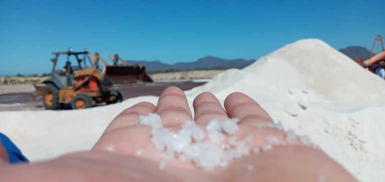 Primer ‘puente’ de mayo dejaría $30 millones en derrama económica en Navolato