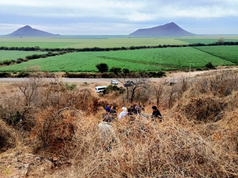 Eligen a navolatense como ganadora del Premio a la Mujer Rural