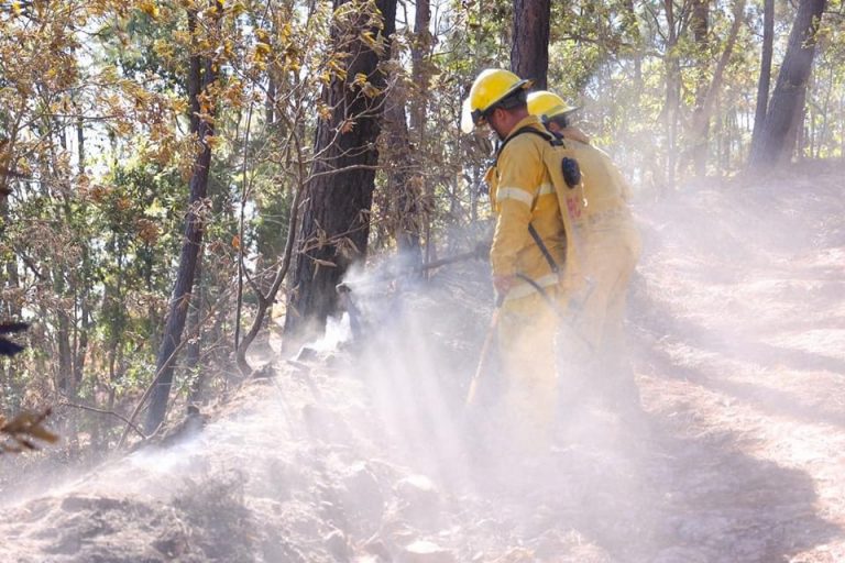 Combaten militares y civiles incendios en El Rosario y San Ignacio