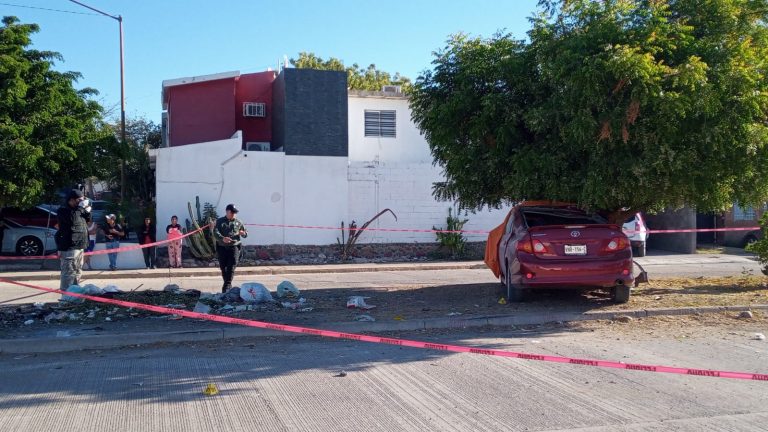 Muere mujer en auto al chocar contra un árbol
