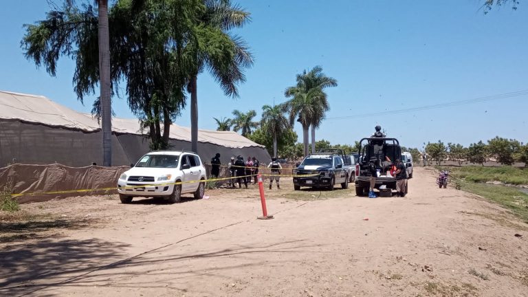 Asesinan a puñaladas a otro taxista en Navolato
