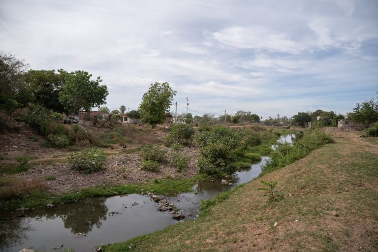 Planean evitar inundación de El Limón de los Ramos