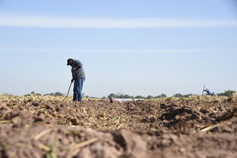 Aplica Ahome multas de hasta $16 mil pesos por quema de soca