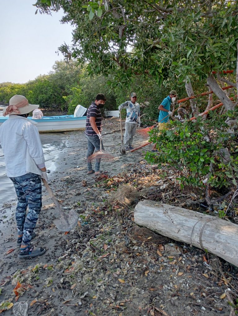 Barco habría arrojado miles de sardinas muertas en Yameto, Navolato