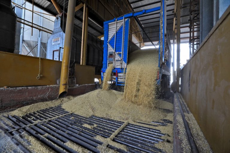 Pagan bodegas maíz hasta en 23% menos del precio de garantía