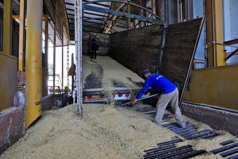 Fluye entrega de apoyos para el maíz