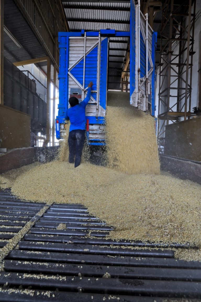 Suman 16 mil productores con apoyo al maíz