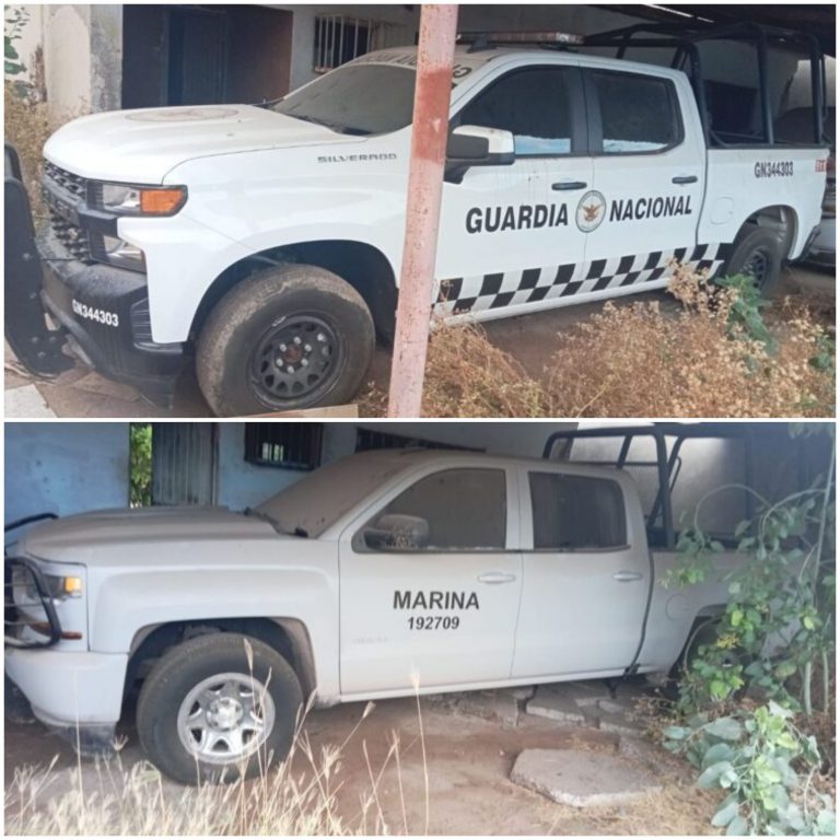 Decomisan 2 patrullas clonadas y 5 autos robados en ‘El Tamarindo’