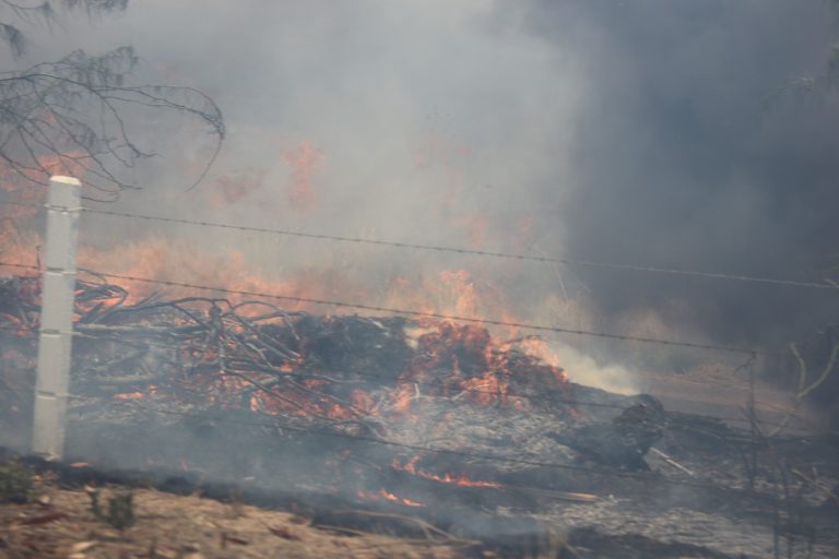 ¿Multa o cárcel? Las sanciones por la quema de soca