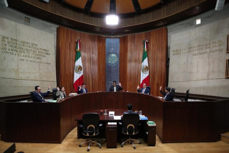 Proponen en TEPFJ suspender actos del Frente Amplio