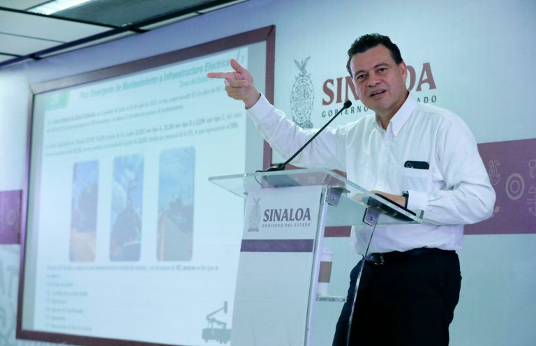 Atribuye CFE a árboles el 80% de fallas en suministro