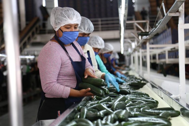 Crecen 2.4% empleos en Sinaloa en 2023