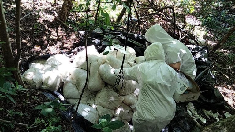 Localizan cueva en Culiacán como fábrica de explosivos, incluida destrucción de blindaje